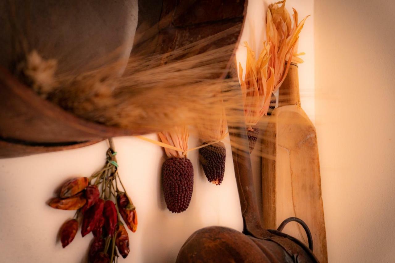 Agriturismo Le Capannacce أوربانيا المظهر الخارجي الصورة